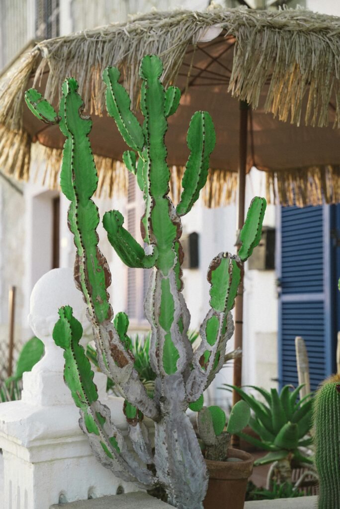 Repurpose a Plant Pot as an Umbrella Stand