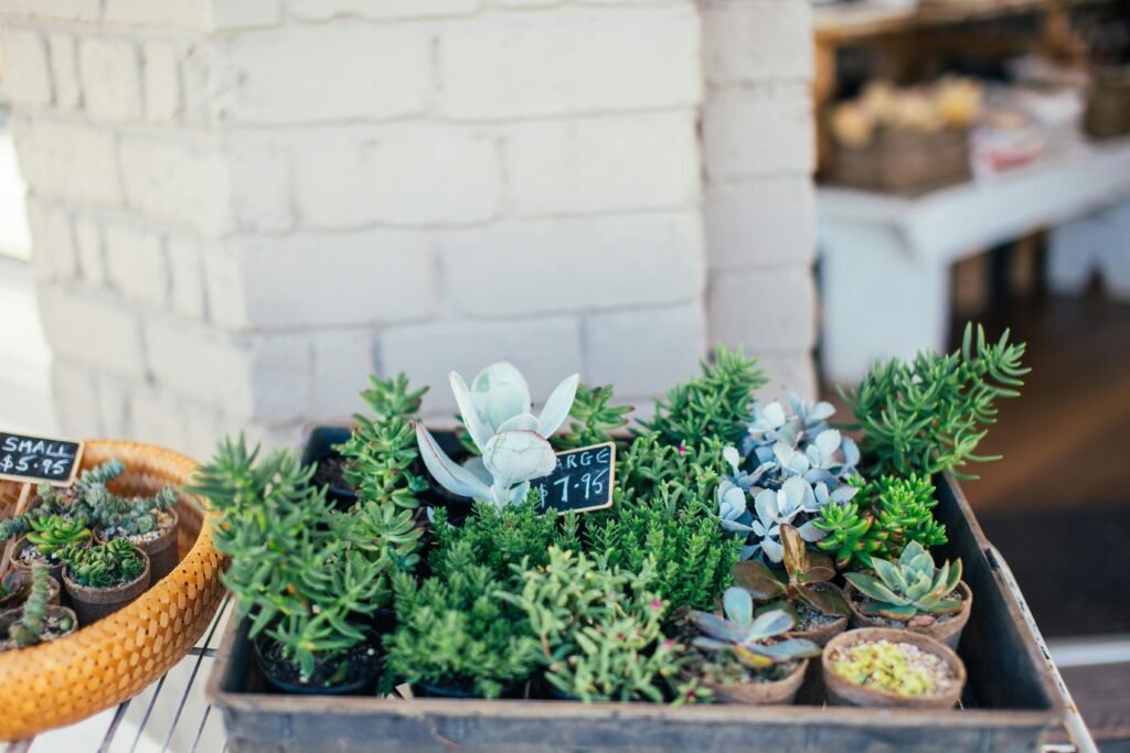 Incorporate Potted Plants and Container Gardening